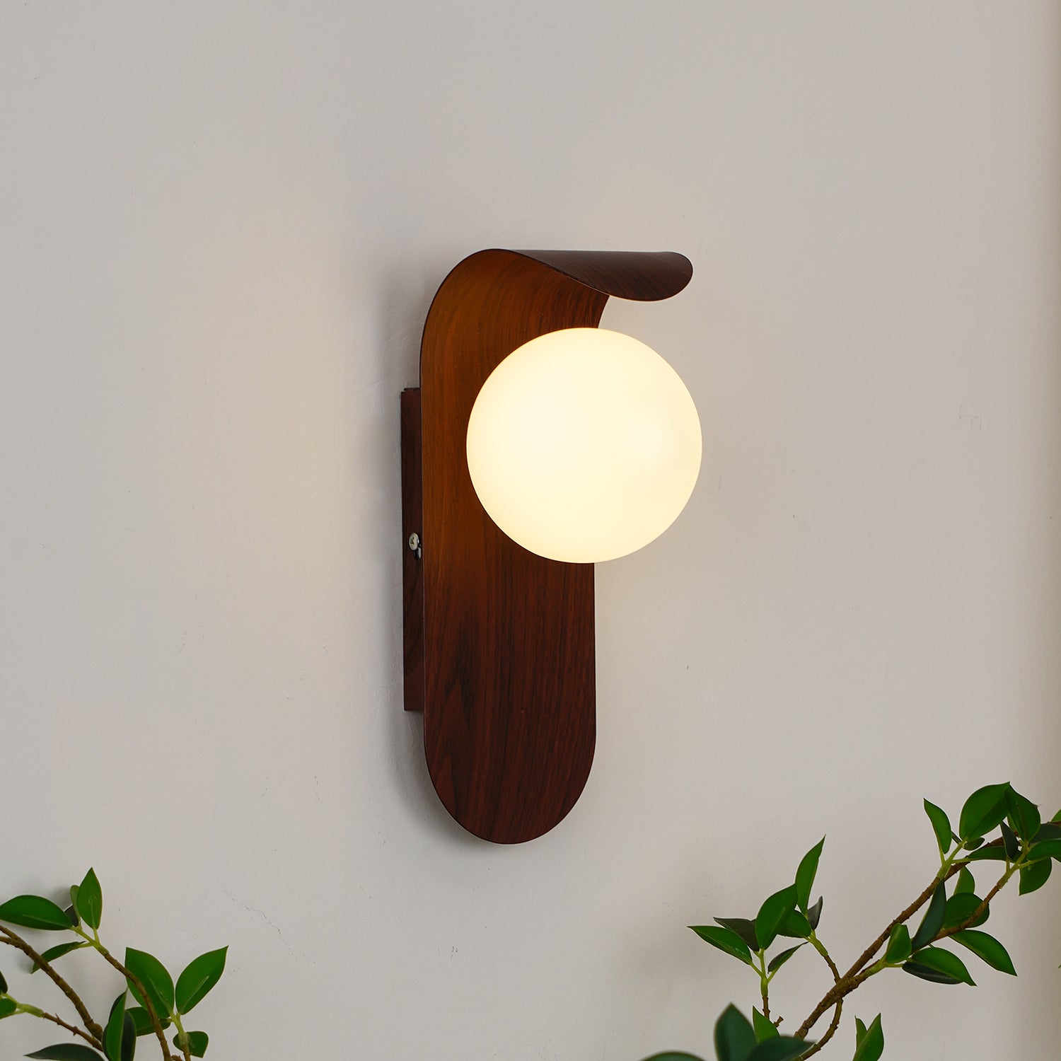 Exuro Applique Murale Intérieure en Bois / Noyer - Neutralighting