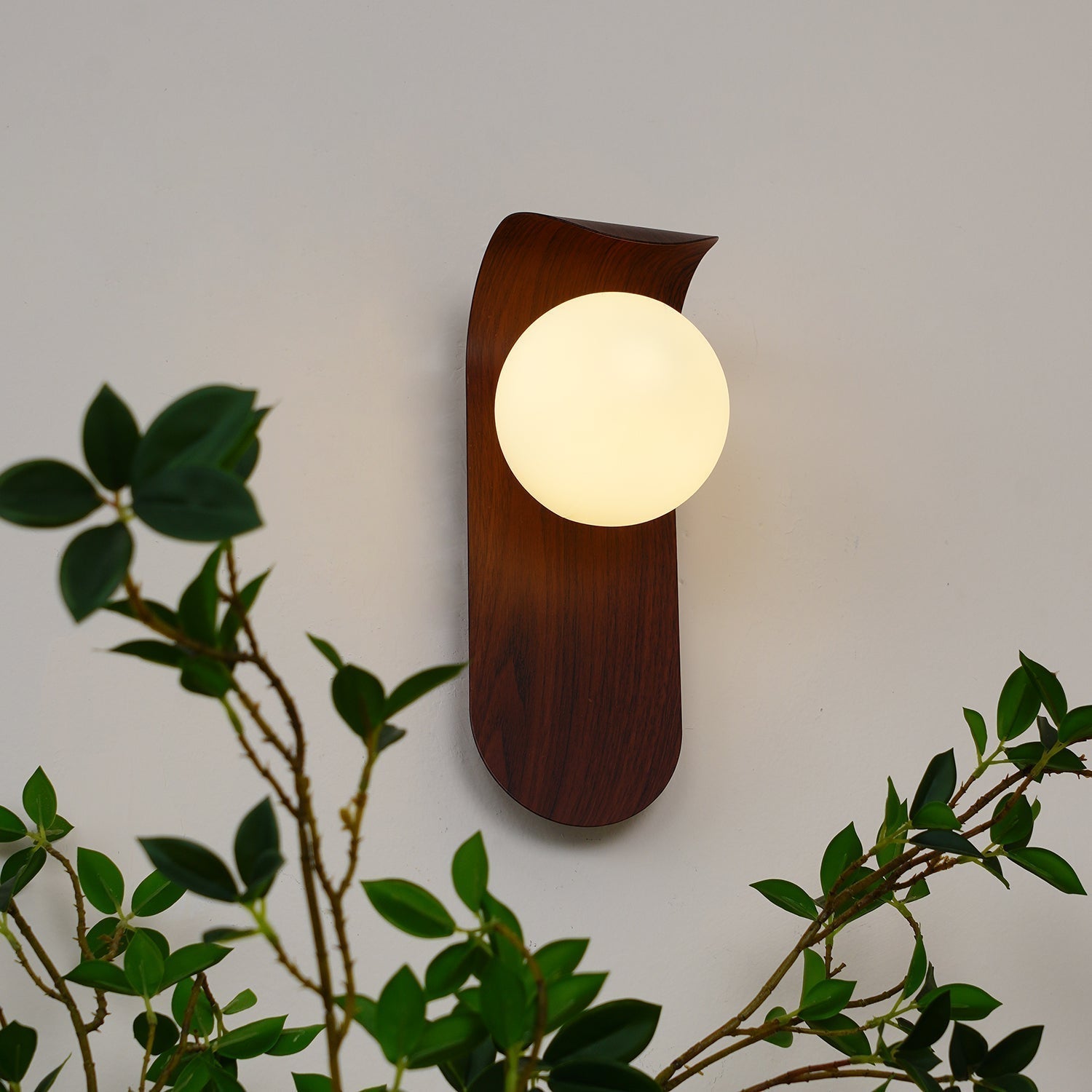 Exuro Applique Murale Intérieure en Bois / Noyer - Neutralighting